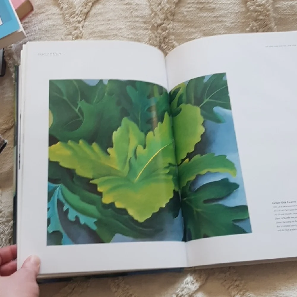 Georgia O'Keeffe: An Eternal Spirit by Susan Wright art book - Picture 7 of 12